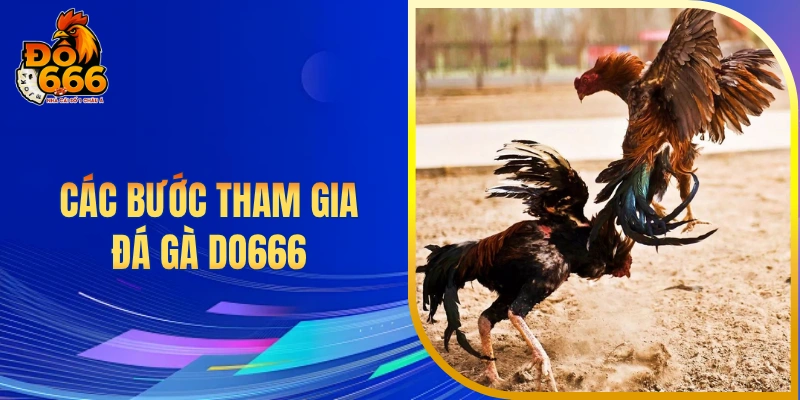 Các bước tham gia đá gà DO666