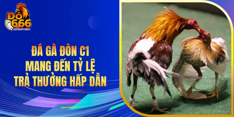 Đá gà đòn C1 mang đến tỷ lệ trả thưởng hấp dẫn