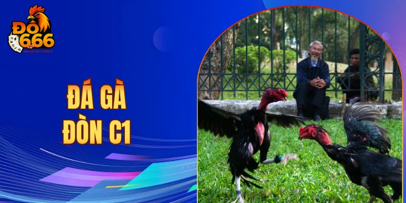 đá gà đòn C1