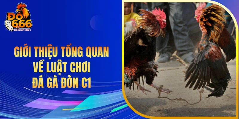 Giới thiệu tổng quan về luật chơi đá gà đòn C1