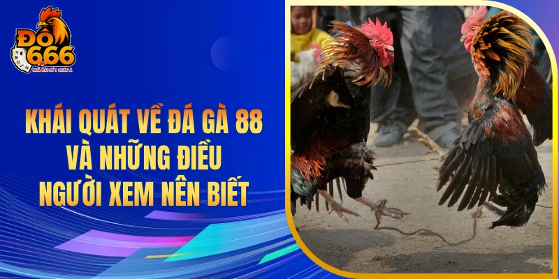 Khái quát về đá gà 88 và những điều người xem nên biết
