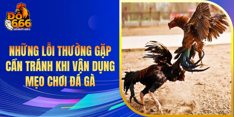 Những lỗi thường gặp cần tránh khi vận dụng mẹo chơi đá gà