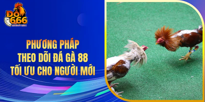 Phương pháp theo dõi đá gà 88 tối ưu cho người mới