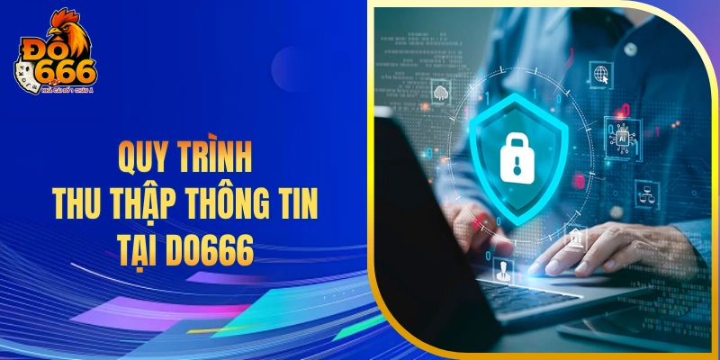 Quy trình thu thập thông tin tại DO666