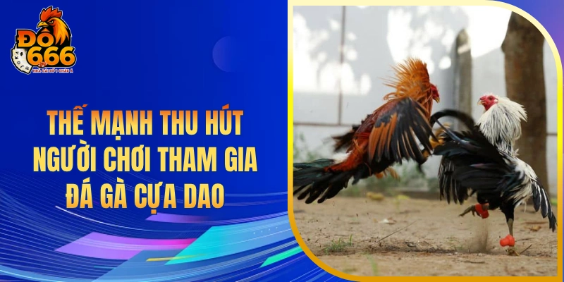 Thế mạnh thu hút người chơi tham gia đá gà cựa dao