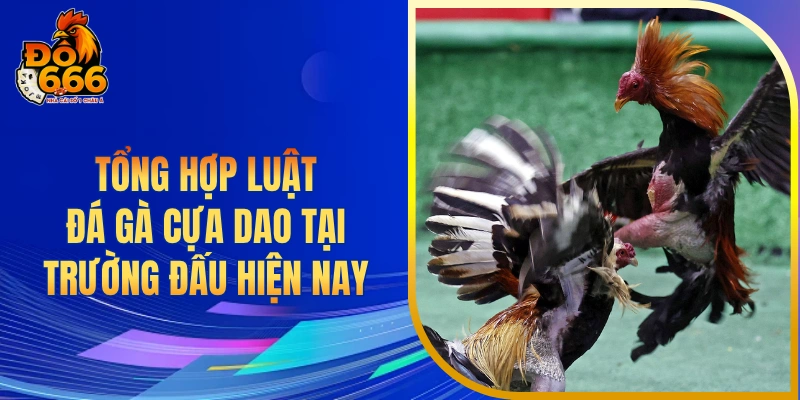 Tổng hợp luật đá gà cựa dao tại các trường đấu hiện nay
