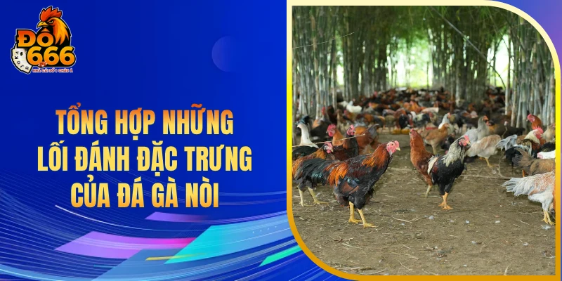 Tổng hợp những lối đánh đặc trưng của đá gà nòi